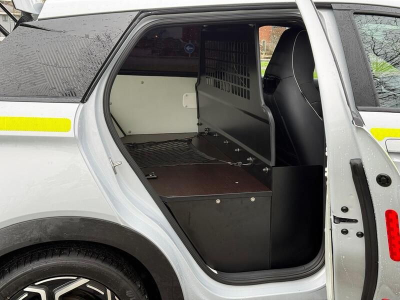 BYD DOLPHIN ELECTRIC 150kW 60kWh Cargo e-Van Auto